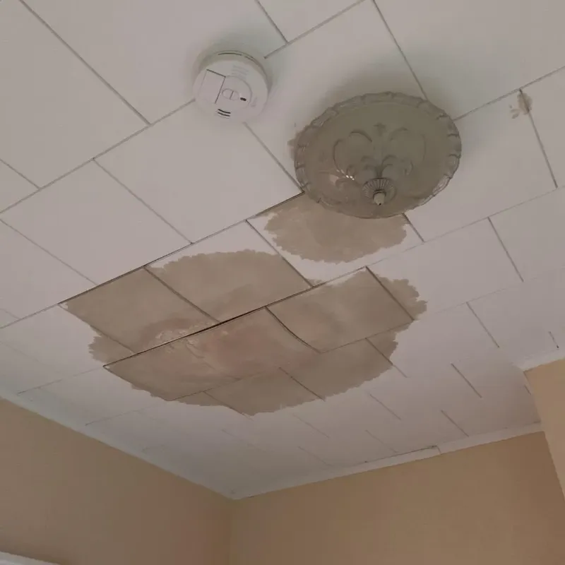 Ceiling Water Damage Repair in Port Allen, LA