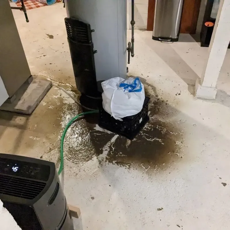 Sewage Backup Cleanup Service in Port Allen, LA